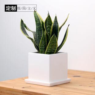 约形光陶现北哑风内亚花带室托盘黄欧多金葛方号特大代肉特简价瓷
