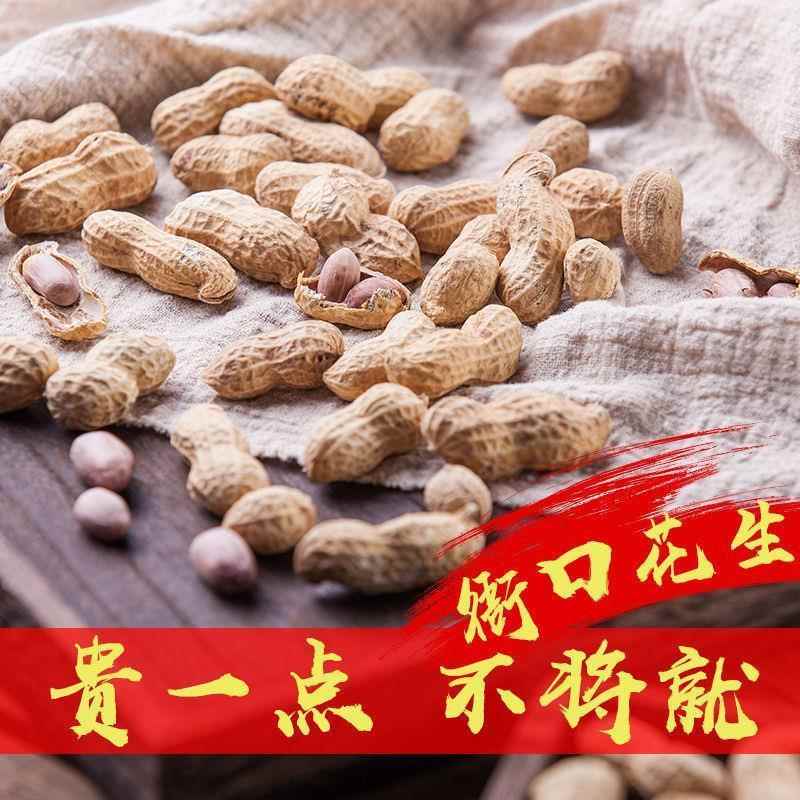 益盛衙口永兴花生水煮闽南特产花生米下酒菜休闲 小零食晋江伴手