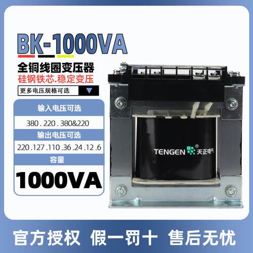 天正BK-1000VA控制变压器交流220380V转220V110V36V24V12V6V铜