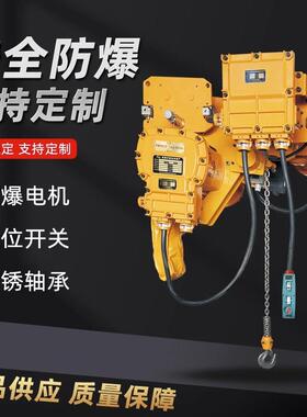 防环链体电爆动IIBT4级 葫芦特种矿用无火花1吨23T3吨5吨葫芦气80