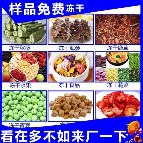 冻物食品真空冻干机干燥效率‌高肉类冷设干燥机厂KAI果宠蔬冻干备