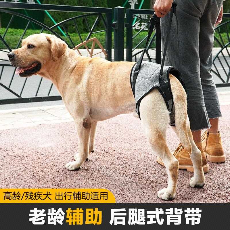 新款直销跨境热狗狗后腿辅助背带老龄犬残疾犬受伤牵引外出后背式