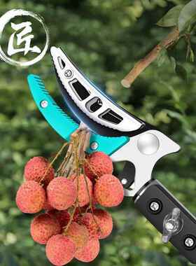 摘果剪枝高锯修枝剪多FEQ功空能缩摘果高采果剪伸摘果器5米荔枝龙