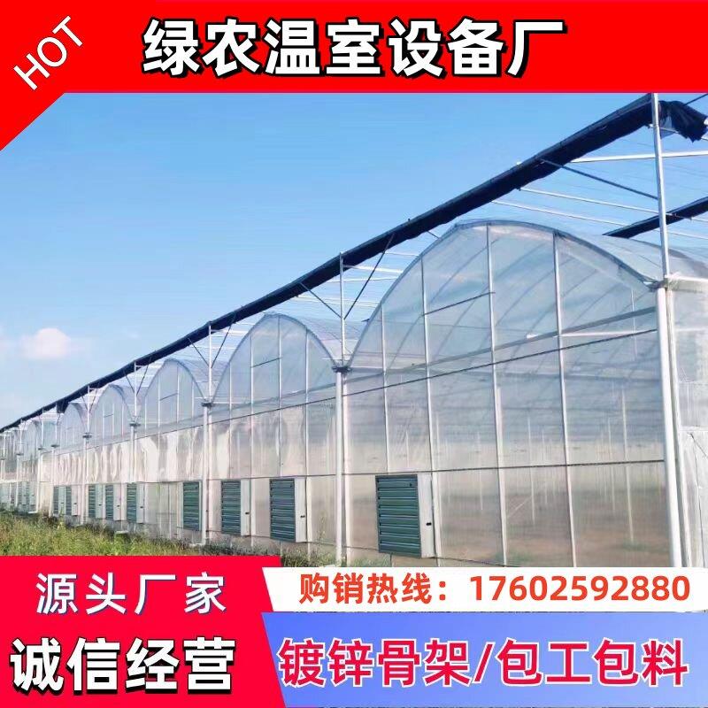 种植温室大棚骨架椭圆管西瓜棚草莓保温猪牛鸡鸭养殖大棚连身连栋