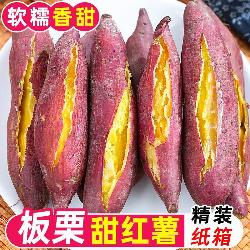 陕西临潼渭河沙地红薯板栗味小红薯新鲜番薯农家现挖地瓜5斤包邮