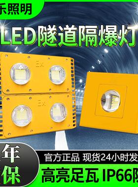led隧道防爆灯三防36v低压防爆灯220v矿井仓库加油站工程投光灯