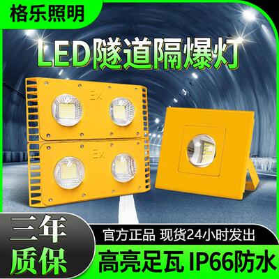 led隧道防爆灯三防36v低压防爆灯220v矿井仓库加油站工程投光灯