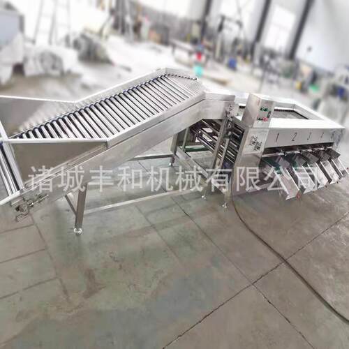滚杠式分级机 金桔大小分级机 冰糖橙分级机 牛油果百香果分级机