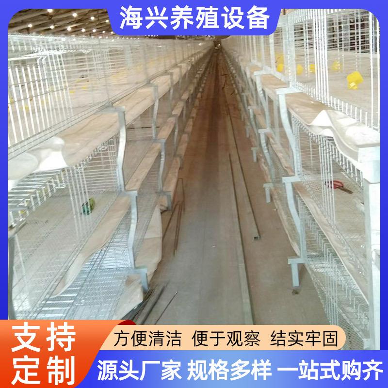 全自动三层层叠式肉鸡笼肉鸡设备H型肉鸡笼养鸡加密加粗养殖笼具