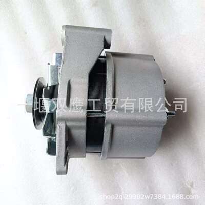 马勒伊斯克拉11.205.522 AAK4733 MG1039交流发电机12V 120A
