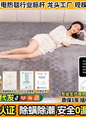加大电热毯双人家用双温双控智能防漏电小四人电褥子电热毯3c认证