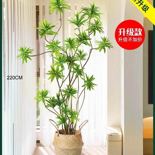 仿真绿植百合竹盆栽大型室内装饰花摆件客厅落地树高级仿生假植物
