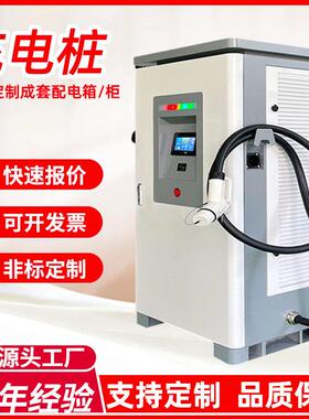 120KW新能源充电桩汽车电动车充电站双枪快充家用商用直流充电桩