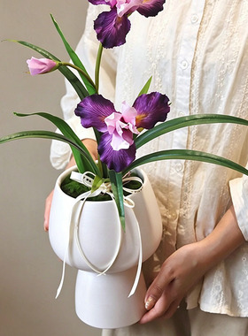 蝴蝶兰花兰花陶瓷高级单株花瓶