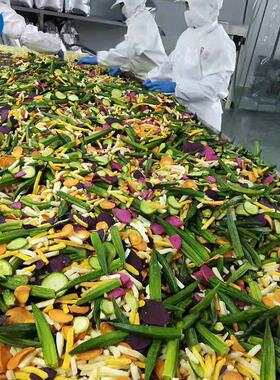 河南核桃仁真空油炸机  干果食品加工设备  山野菜真空低温油炸机