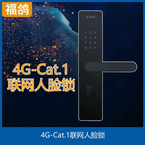 4G-Cat.1人脸锁/公寓人脸锁/酒店人脸锁/公租房人脸锁/民宿人脸锁