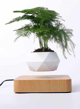 磁悬浮盆SOL栽空中物创意摆件花盆饰电视柜桌面装生植礼物日送礼
