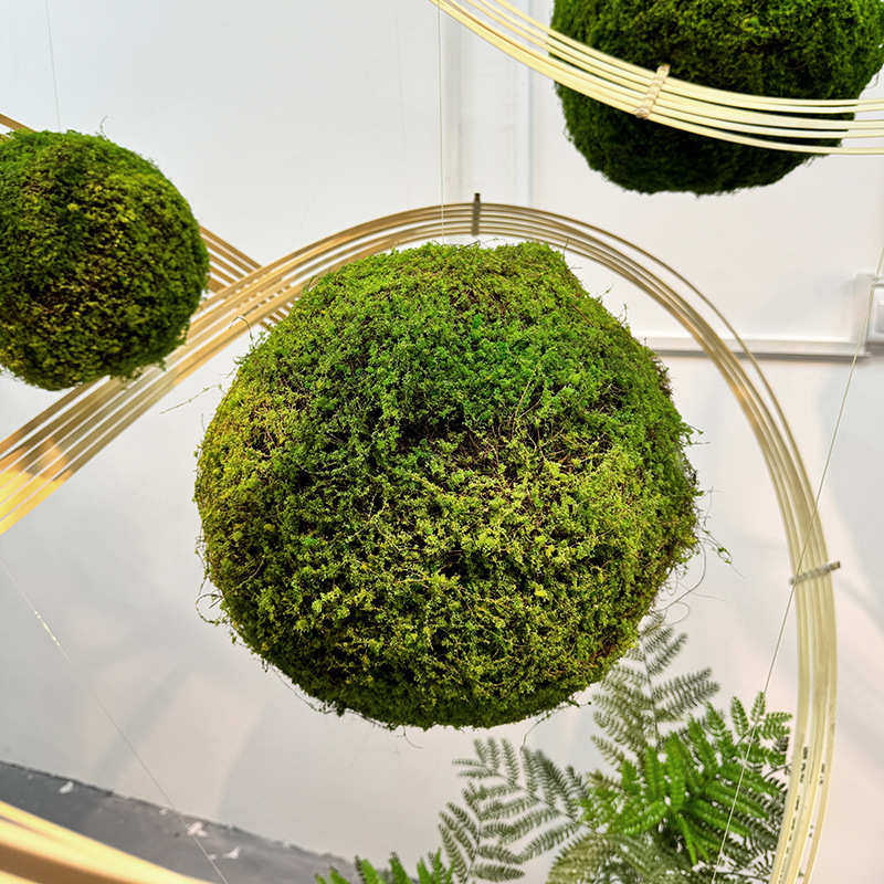 仿真绿室内酒店苔藓装饰造型吊顶造景球型植草橱窗球创意植物景观,家居饰品,花瓶,淘宝优惠券,粉丝福利购,淘宝优惠卷