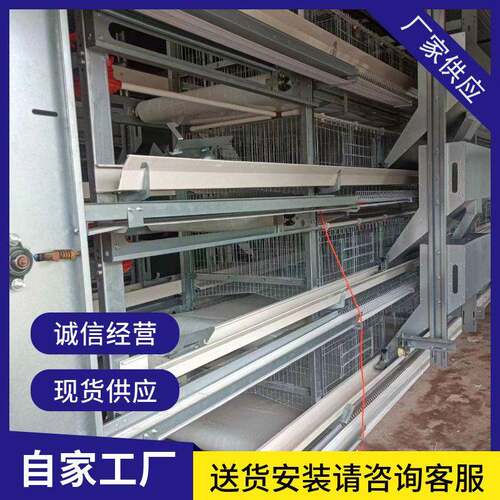 立式H型小层叠蛋鸡笼养殖场农场用热镀锌自动养殖设备