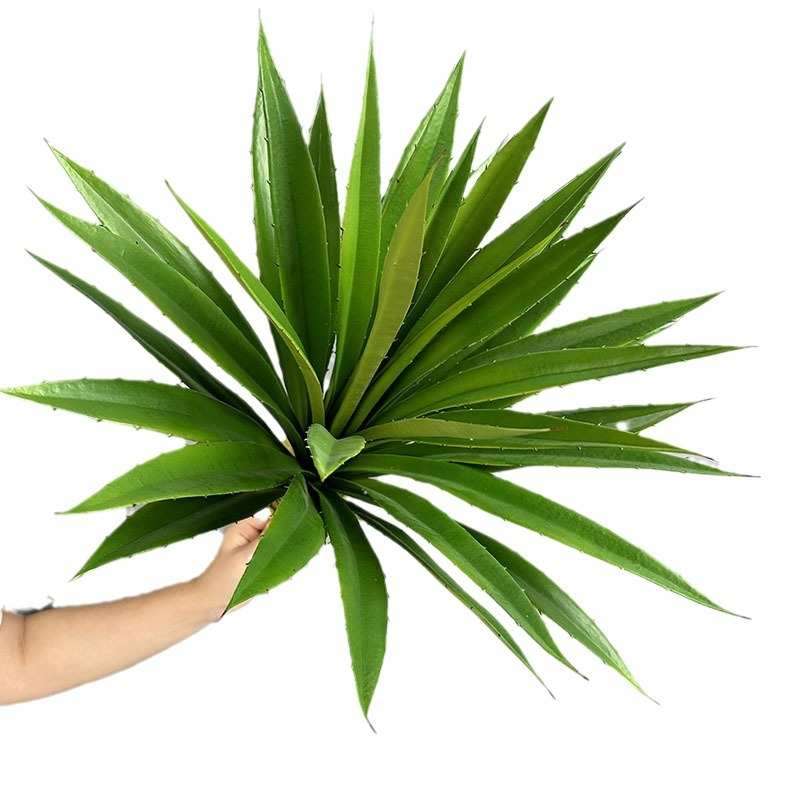 仿真剑兰园林景观多肉植物餐厅酒吧绿植装饰仿真单棵绿色龙舌兰