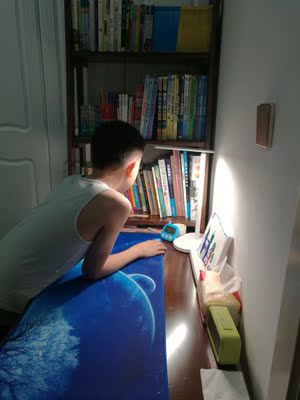 体验辰帆博雅书架怎么样，是真全实木吗？质量好不好呢？