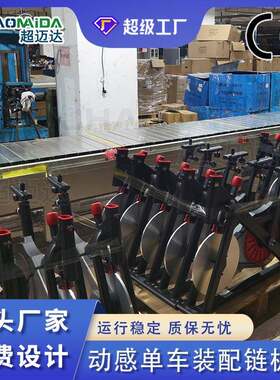 源头工厂按需定制动感车生产安装流水线自行车童车链板输送机