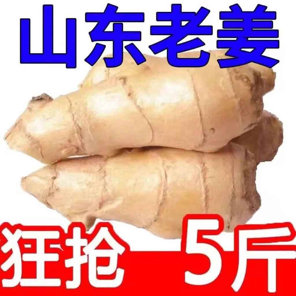山东大姜老姜生姜新鲜黄姜土姜现挖子姜嫩姜鲜姜嫩姜牙10斤包邮