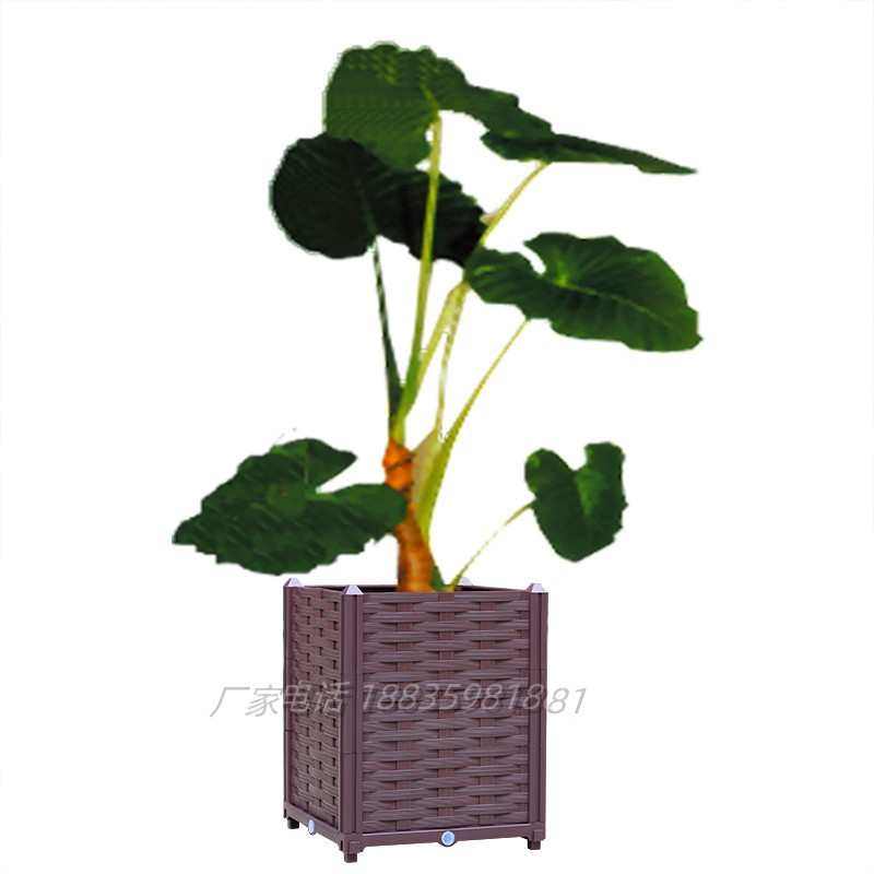 阳台种菜深花盆楼顶葡萄蔷薇月季花箱花槽大号果树盆50种茂仁,鲜花速递/花卉仿真/绿植园艺,花盆,淘宝优惠券,粉丝福利购,淘宝优惠卷