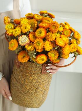 小雏菊干花花束天然风干真花客厅摆设云南麦秆菊鲜花客厅装饰摆件