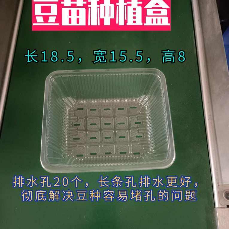 育苗芽种植苗盘打包豆苗盒盒带豌豆苗菜一次性黄豆芽塑料盖