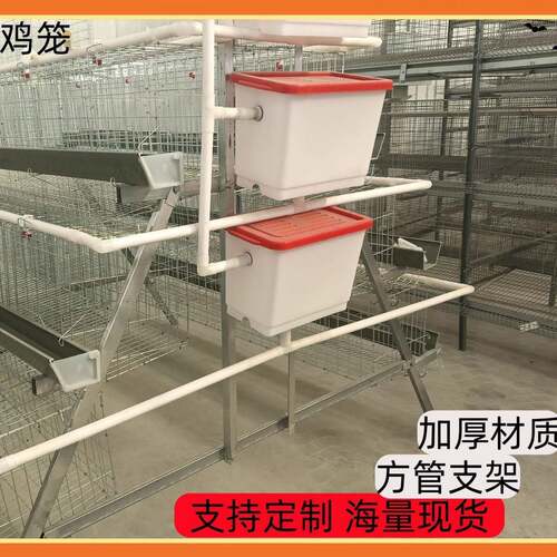 阶梯式蛋鸡笼热镀锌材质防锈耐用适配100-500羽蛋鸡带集蛋槽