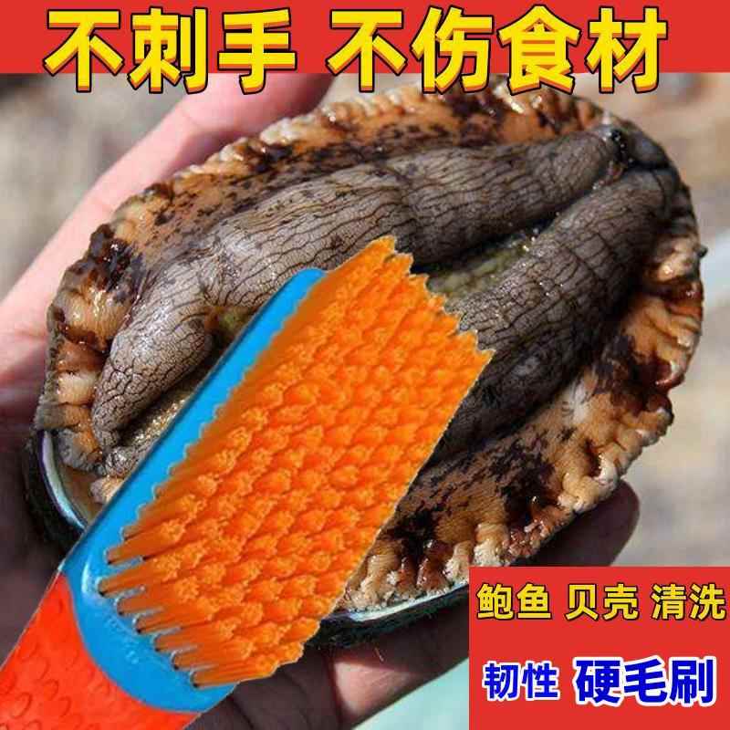 厨房清洁生蚝神器贝类水产店海鲜清洗刷子鲍鱼专用螃蟹硬毛刷工具
