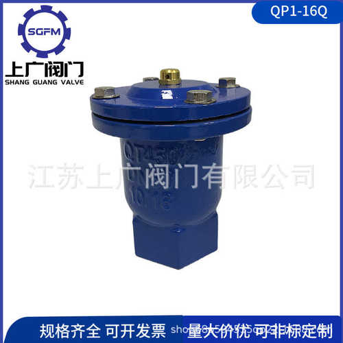 QP1-16Q丝扣排气阀 内螺纹连接 2205定制