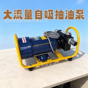 220V大流量防爆电动抽油泵自吸滑片泵叶片泵柴油汽油加油泵加油机