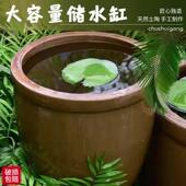 庭院水缸老式 造景古法鱼缸户外阳台荷花睡莲盆缸农村风水大缸养鱼