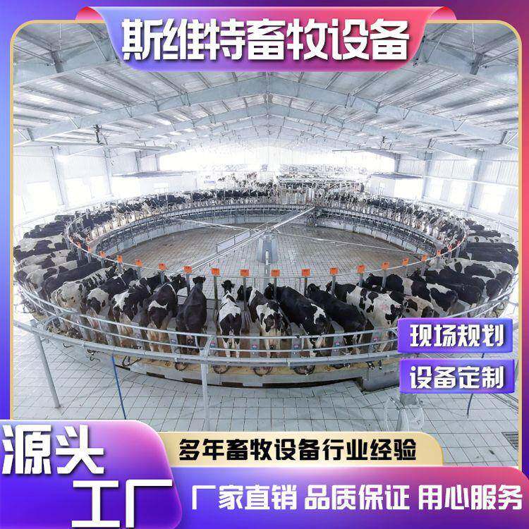 转盘式挤奶厅牛羊用挤奶设备中大型牧场用挤奶台现场规划