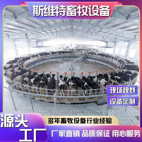 转盘式挤奶厅牛羊用挤奶设备中大型牧场用挤奶台现场规划