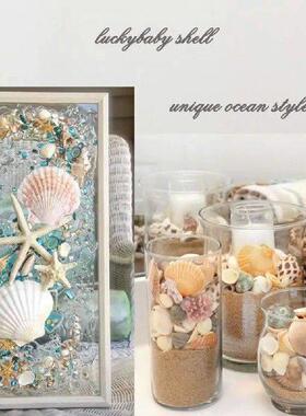 10pcs Shell Ornament Natural Scallop Shells for Diy Crafts