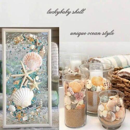 10pcs Shell Ornament Natural Scallop Shells for Diy Crafts