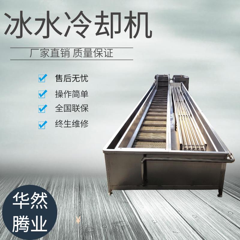 带鱼全自动带提升装置挂冰机巴沙鱼连续式挂冰机虾仁包冰衣设备
