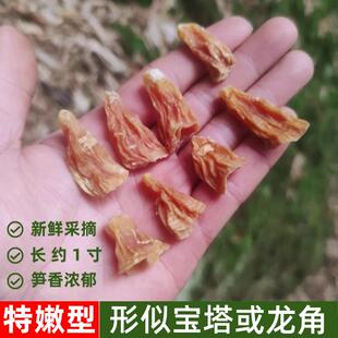 特嫩冬笋尖笋干嫩笋宝尖贵州农家自制特产竹海玉兰片四川也生干货