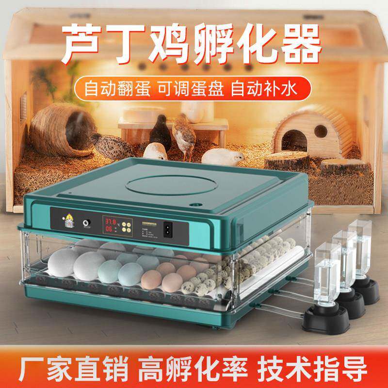 全自动智能孵蛋器 家用迷你鸡蛋孵化器 恒温水床孵蛋机 支持照蛋