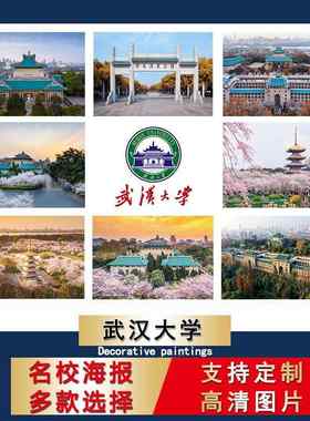 中国名校海报武汉大学校徽logo壁纸儿童书房装饰画励志卧室挂画芯