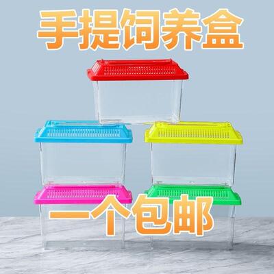 Large and Medium Children's Portable Transparent Pet Transpo