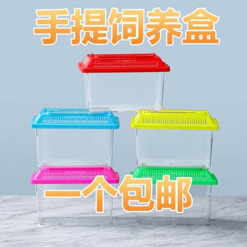 Large and Medium Children's Portable Transparent Pet Transpo