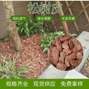 批发松树皮 饰用松树皮 打磨松树皮颗粒 栽培介质土壤改良铺面装