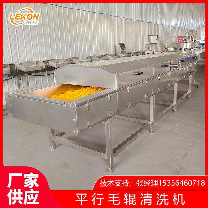 厂家特价扇贝牡蛎清洗机高压喷淋清洗设备海产品毛刷辊清洗机