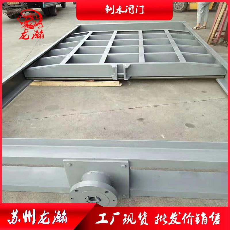 苏州龙瀚制水钢制闸门不锈钢闸门渠道闸门止水闸门可按需做