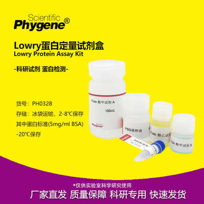 Lowry法蛋白浓度测定试剂盒 蛋白定量 福林酚法 PH0328 PHYGENE