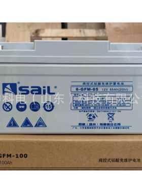 风帆蓄电池6-GFM-100太阳能储能电厂蓄电池铅酸维护电池报价